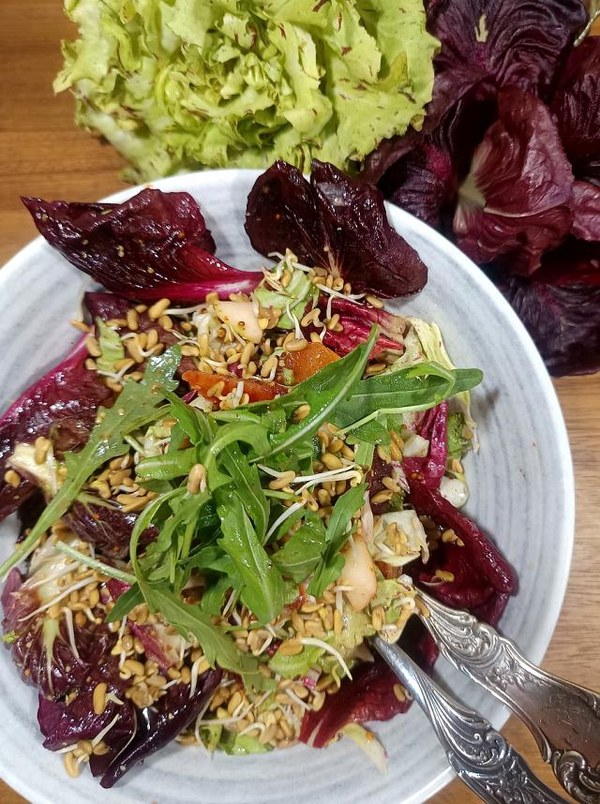 Endivien - Vitamine im Winter